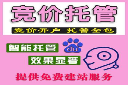 企业案例：SEM推广代运营成果展示
